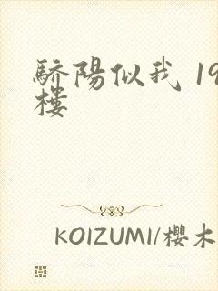 骄阳似我 19楼
