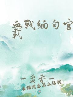 血战缅甸官方下载