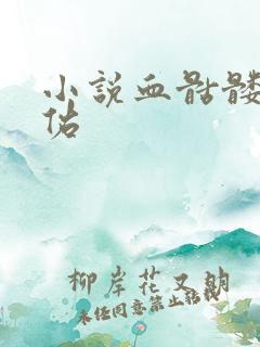 小说血骷髅楚天佑