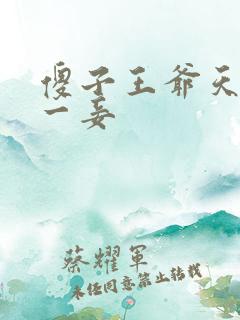 傻子王爷天下第一妾