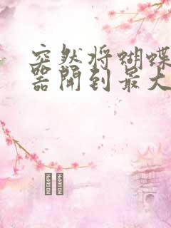 突然将蝴蝶遥控器开到最大