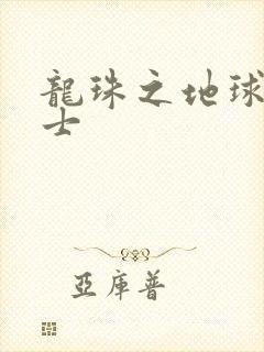 龙珠之地球人战士