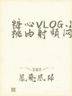糖心VLOG小桃内射频网站