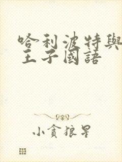 哈利波特与混血王子国语