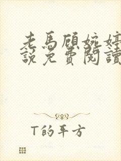 老马顾婉婷的小说免费阅读