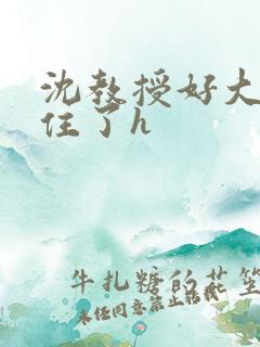 沈教授好大含不住了h