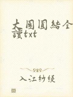 大团圆结全文阅读txt