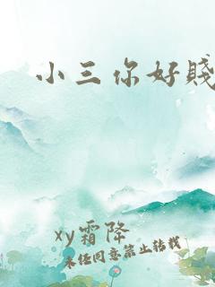 小三你好贱下载