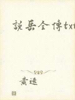 说岳全传txt