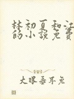 林初夏和江未寒的小说免费阅读