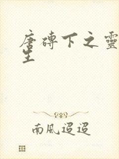 唐砖下之灵域双生