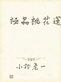 极品桃花运下载