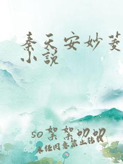 秦天安妙菱修仙小说