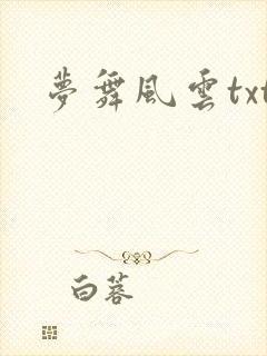 梦舞风云txt