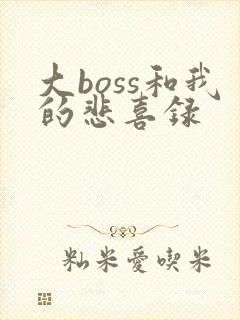 大boss和我的悲喜录