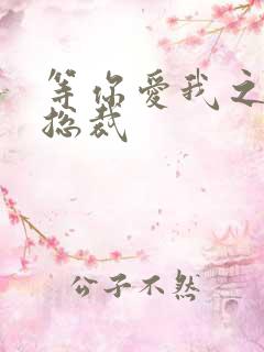 等你爱我之冰山总裁