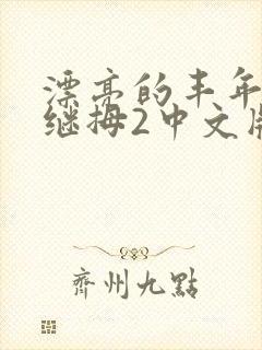 漂亮的丰年经的继拇2中文版