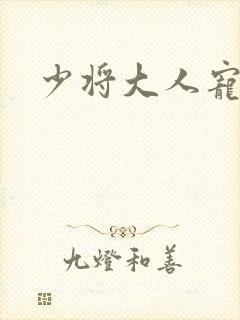 少将大人宠宠我