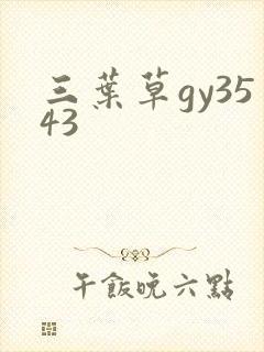 三叶草gy3543