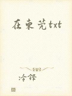 在东莞txt