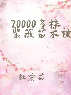 70000多株紫薇苗木被强毁