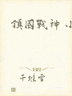 镇国战神 小说