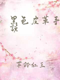 黑色皮革手册小说