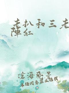 老扒和三老扒和阵红
