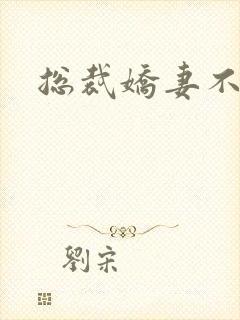 总裁娇妻不太乖