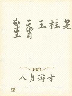 擎天玉柱是什么生肖