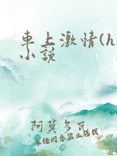 车上激情(h)小说