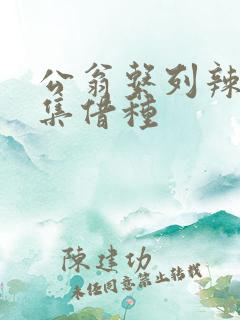 公翁系列辣文全集借种