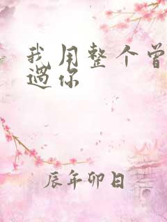 我用整个曾经爱过你