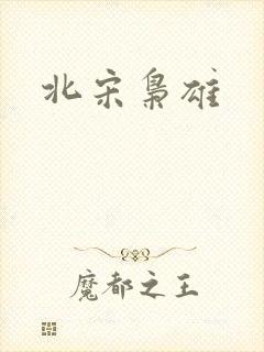 北宋枭雄