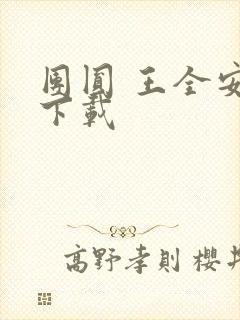 团圆 王全安 下载