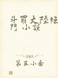 斗罗大陆绝世唐门 小说