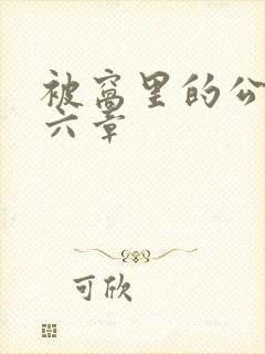 被窝里的公息十六章