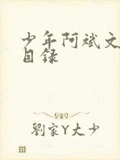 少年阿斌文说读目录