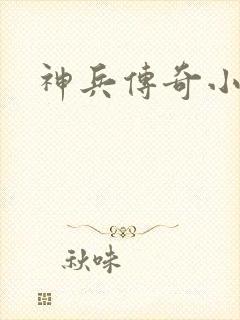 神兵传奇小说