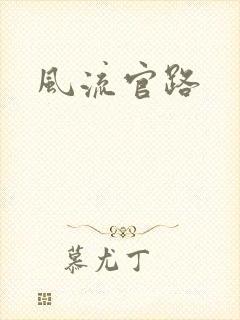 风流官路