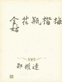 金花瓶楷梅花尼姑