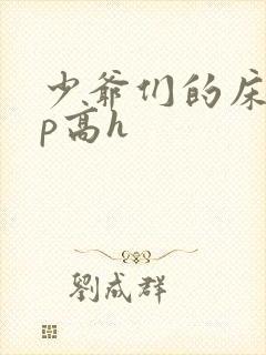 少爷们的床奴np高h