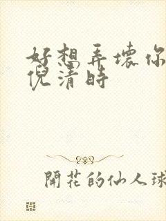 好想弄坏你南姜倪清时