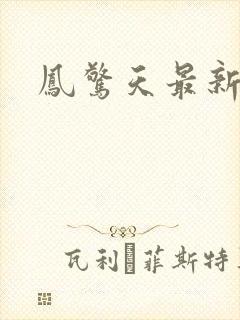 凤惊天最新章节