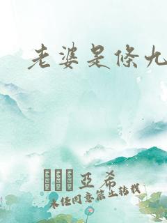 老婆是条九尾狐