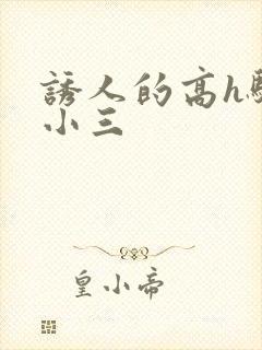 诱人的高h骚当小三