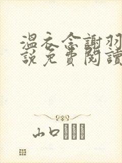 温衣念谢羽渊小说免费阅读