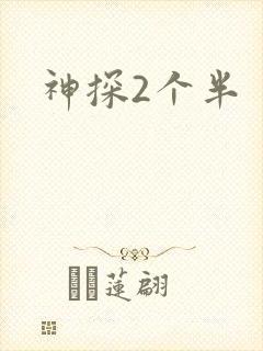 神探2个半