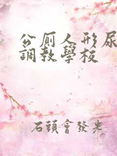 公厕人形尿便器调教学校