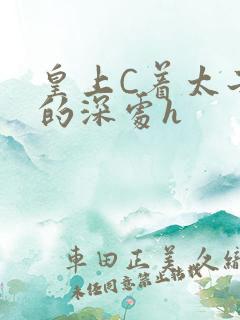 皇上C着太子妃的深处h